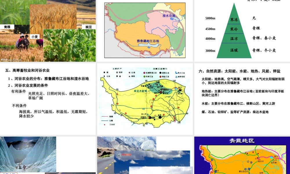 八年级地理下册 第九章 青藏地区课件 （新版）新人教版-（新版）新人教版初中八年级下册地理课件