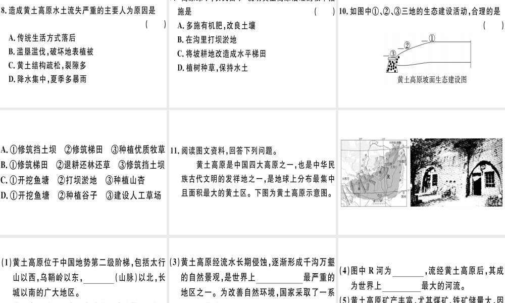 八年级地理下册 第八章 第五节 黄土高原的区域发展与居民生活习题课件 （新版）湘教版-（新版）湘教版初中八年级下册地理课件
