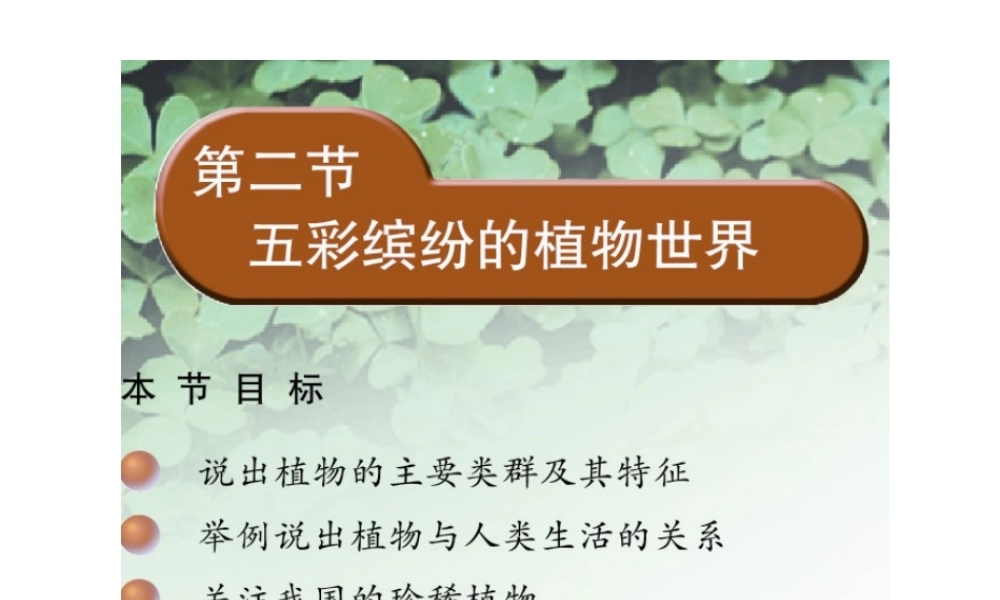 八年级生物上册 14.1 五彩缤纷的植物世界课件（1）（新版）苏教版-（新版）苏教版初中八年级上册生物课件