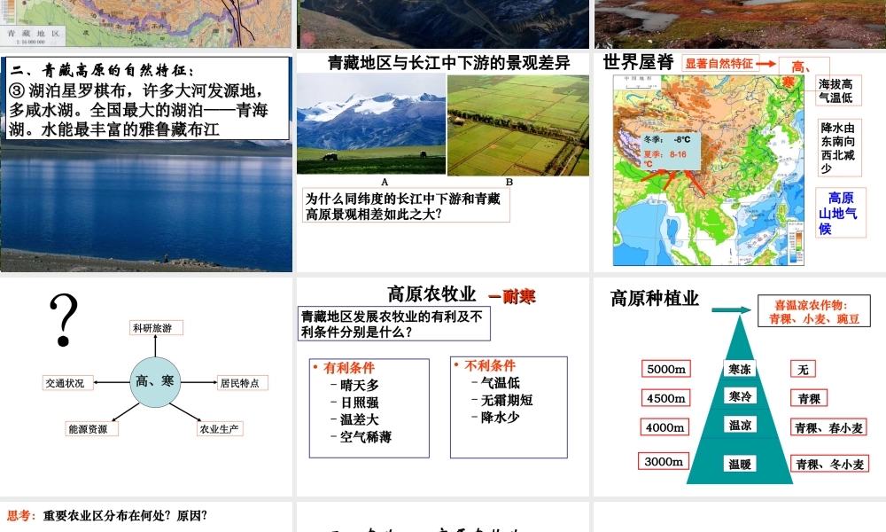 八年级地理下册 第八章 青藏地区课件 （新版）新人教版-（新版）新人教版初中八年级下册地理课件