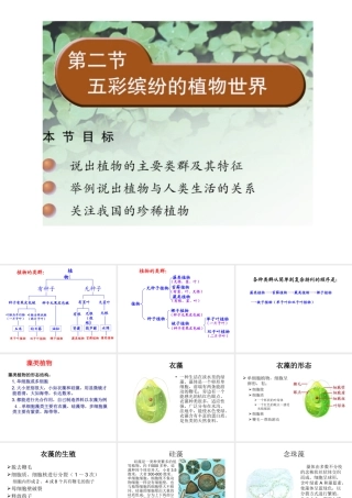 八年级生物上册 14.1 五彩缤纷的植物世界课件（1）（新版）苏教版-（新版）苏教级上册生物课件