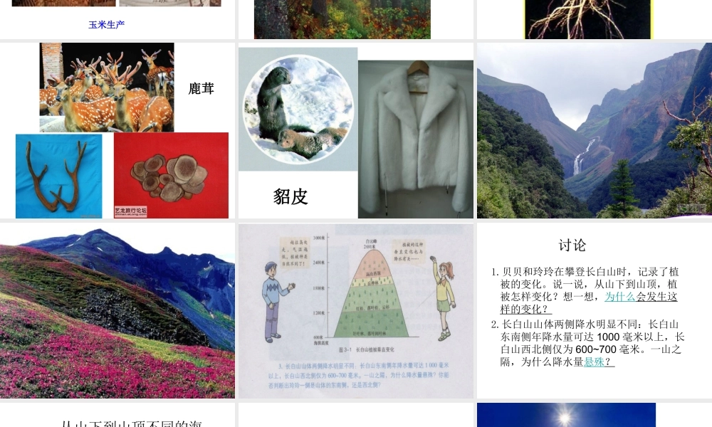 八年级地理下册 第六章 认识区域 位置分布 第三节 东北地区的产业分布—吉林省课件 （新版）湘教版