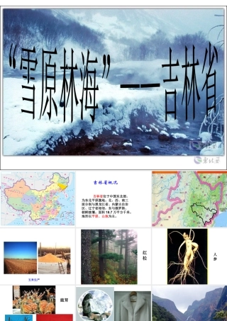 八年级地理下册 第六章 认识区域 位置分布 第三节 东北地区的产业分布—吉林省课件 （新版）湘教版