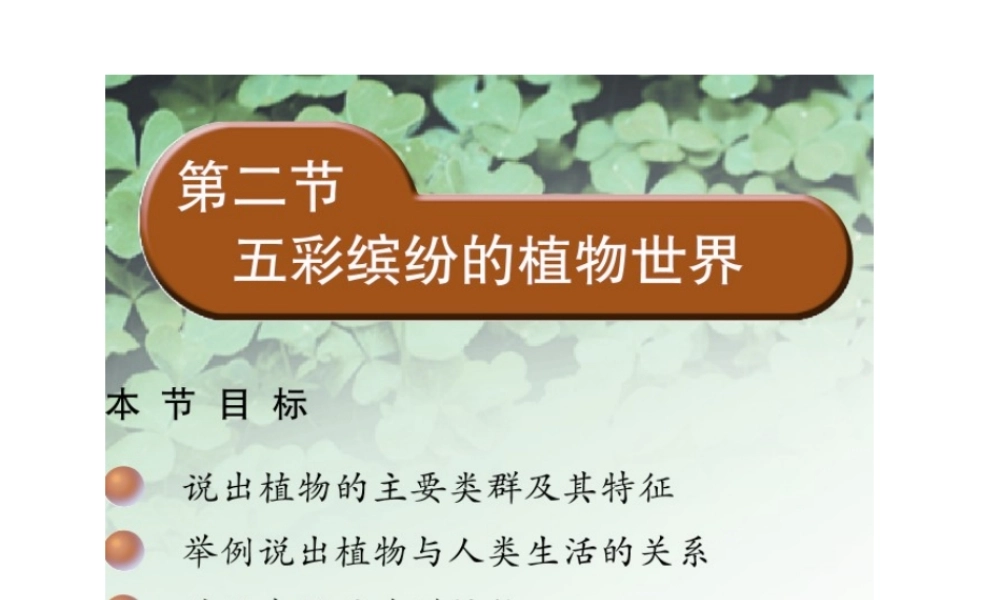 八年级生物上册 14.1 五彩缤纷的植物世界课件（2）（新版）苏教版-（新版）苏教版初中八年级上册生物课件