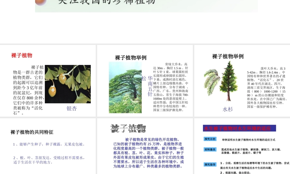 八年级生物上册 14.1 五彩缤纷的植物世界课件（3）（新版）苏教版-（新版）苏教级上册生物课件