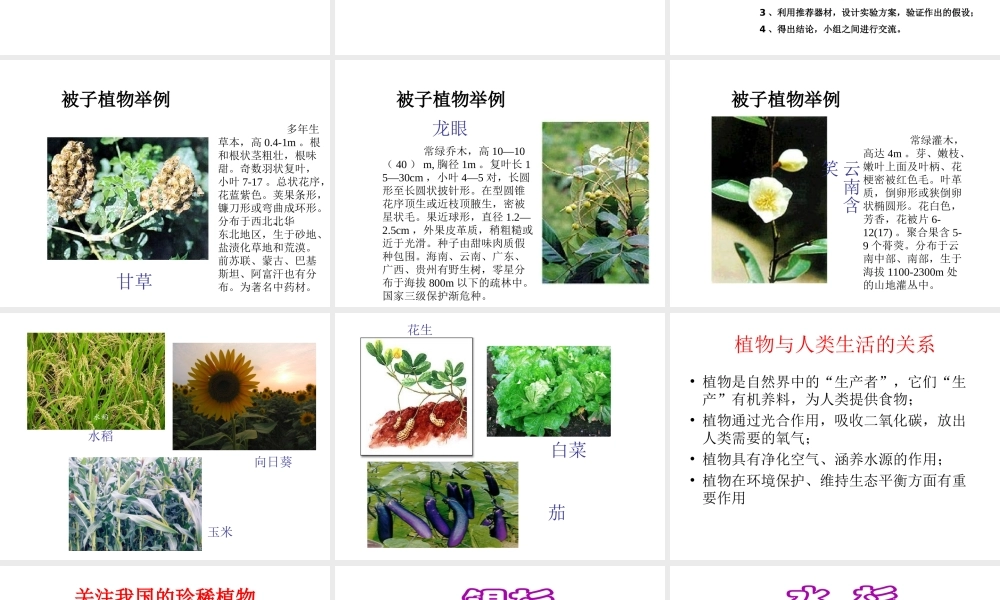 八年级生物上册 14.1 五彩缤纷的植物世界课件（3）（新版）苏教版-（新版）苏教级上册生物课件