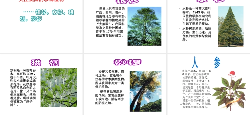 八年级生物上册 14.1 五彩缤纷的植物世界课件（3）（新版）苏教版-（新版）苏教级上册生物课件