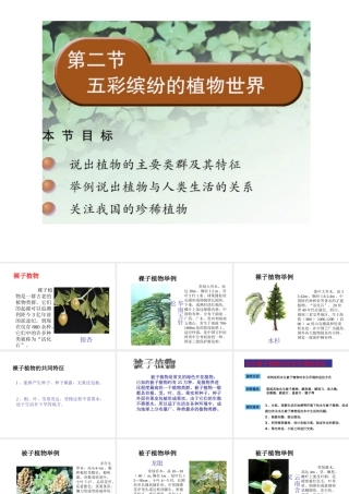 八年级生物上册 14.1 五彩缤纷的植物世界课件（3）（新版）苏教版-（新版）苏教级上册生物课件