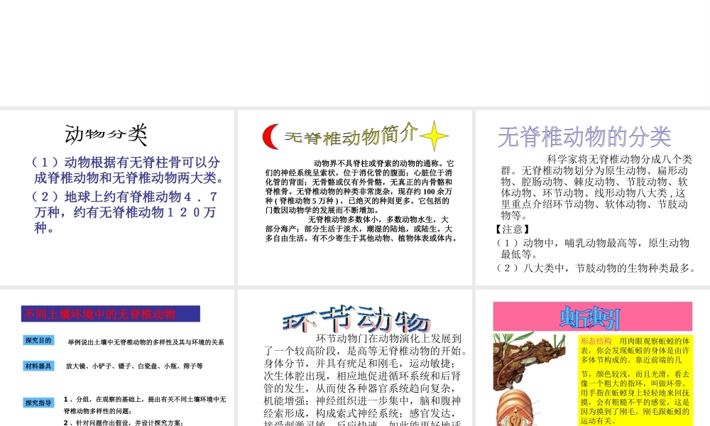 八年级生物上册 14.2 千姿百态的动物世界课件 （新版）苏教版-（新版）苏教版初中八年级上册生物课件