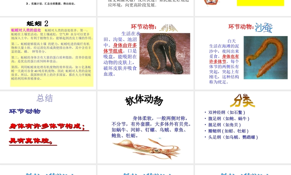 八年级生物上册 14.2 千姿百态的动物世界课件 （新版）苏教版-（新版）苏教版初中八年级上册生物课件