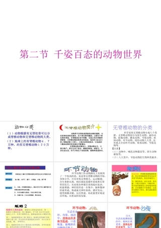 八年级生物上册 14.2 千姿百态的动物世界课件 （新版）苏教版-（新版）苏教版初中八年级上册生物课件