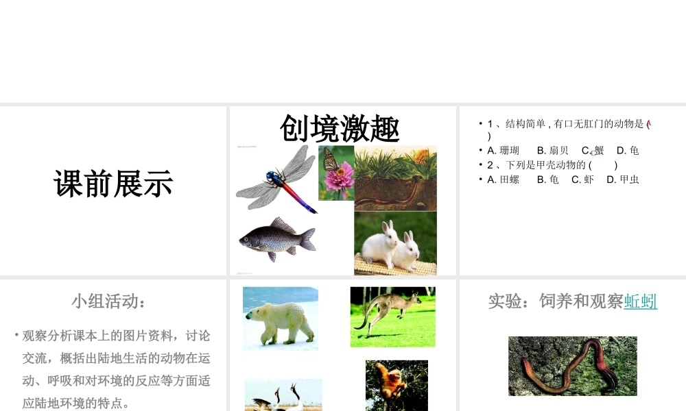 八年级生物上册 14.2 五彩缤纷的动物世界课件 （新版）苏教版-（新版）苏教版初中八年级上册生物课件