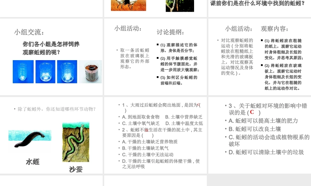 八年级生物上册 14.2 五彩缤纷的动物世界课件 （新版）苏教版-（新版）苏教版初中八年级上册生物课件