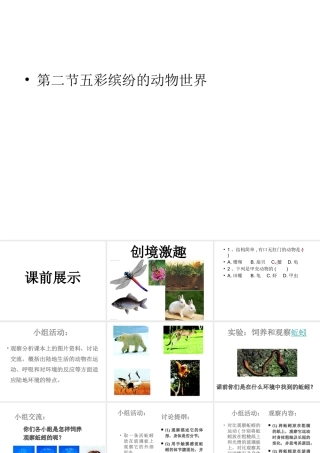八年级生物上册 14.2 五彩缤纷的动物世界课件 （新版）苏教版-（新版）苏教版初中八年级上册生物课件