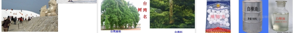 八年级地理下册 第七章 第四节 祖国的神圣领土——台湾课件 （新版）新人教版-（新版）新人教版初中八年级下册地理课件