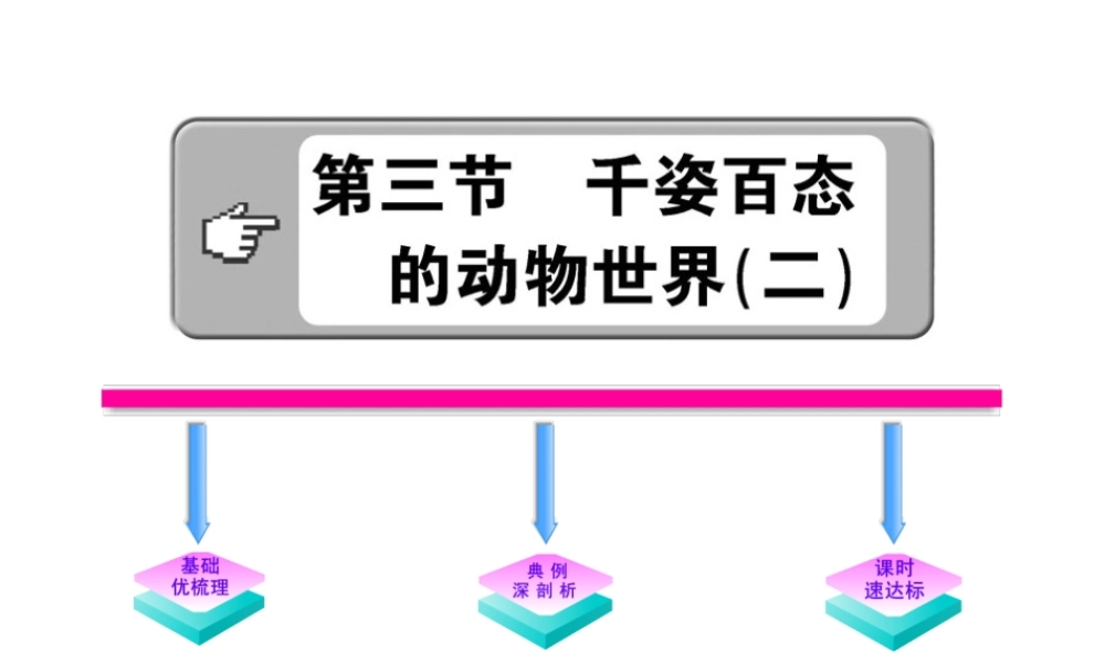 八年级生物上册 14.2千姿百态的动物世界教学课件 （新版）苏教版-（新版）苏教级上册生物课件