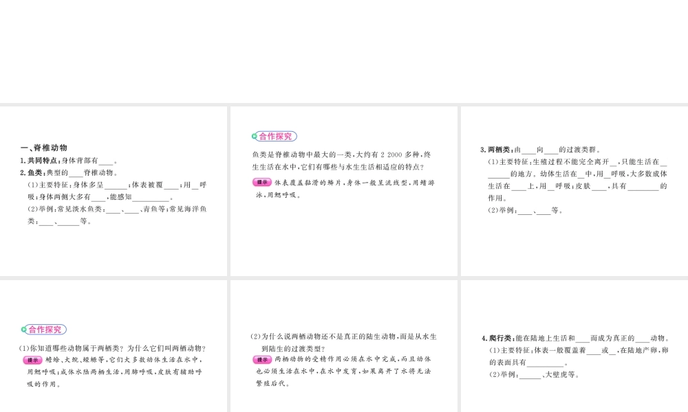 八年级生物上册 14.2千姿百态的动物世界教学课件 （新版）苏教版-（新版）苏教级上册生物课件