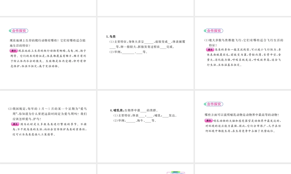 八年级生物上册 14.2千姿百态的动物世界教学课件 （新版）苏教版-（新版）苏教级上册生物课件