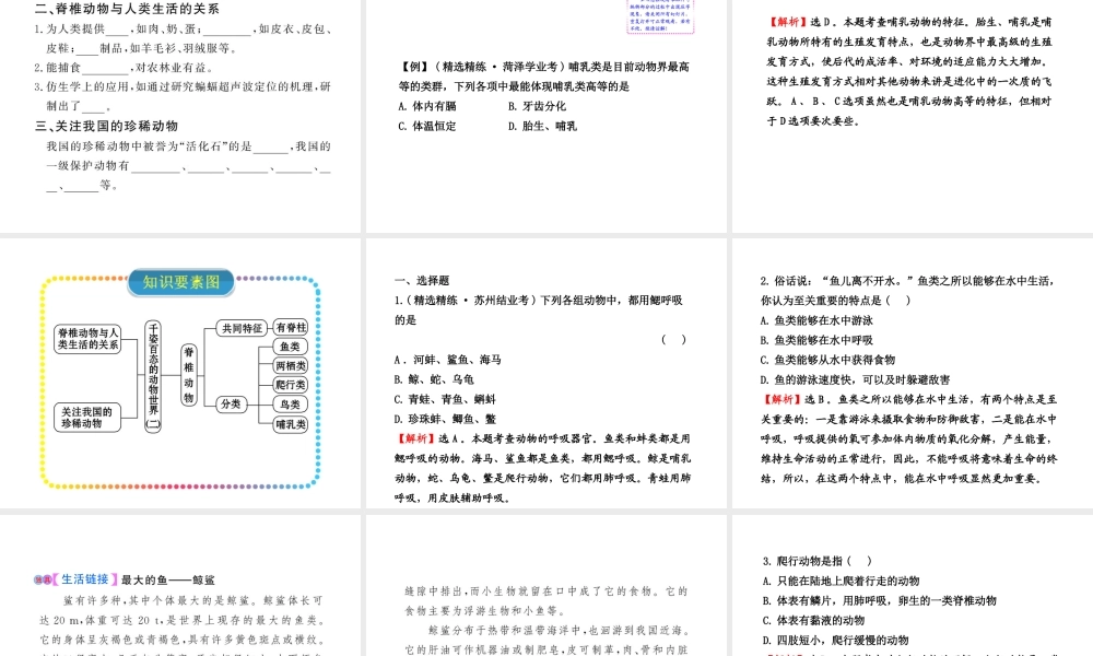 八年级生物上册 14.2千姿百态的动物世界教学课件 （新版）苏教版-（新版）苏教级上册生物课件
