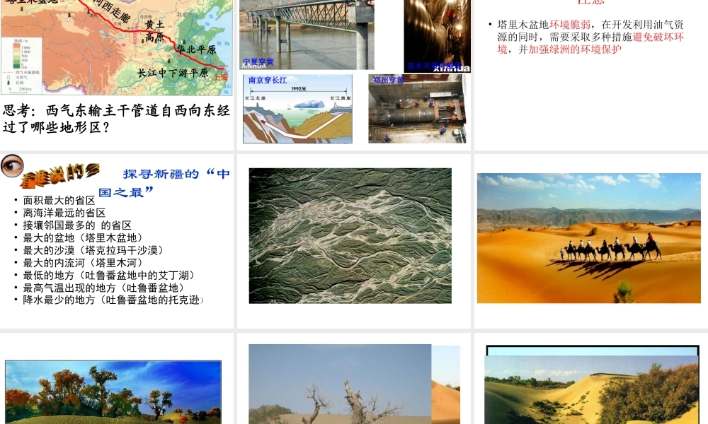 八年级地理下册 第8章 第2节《干旱的宝地—塔里木盆地》课件 （新版）新人教版