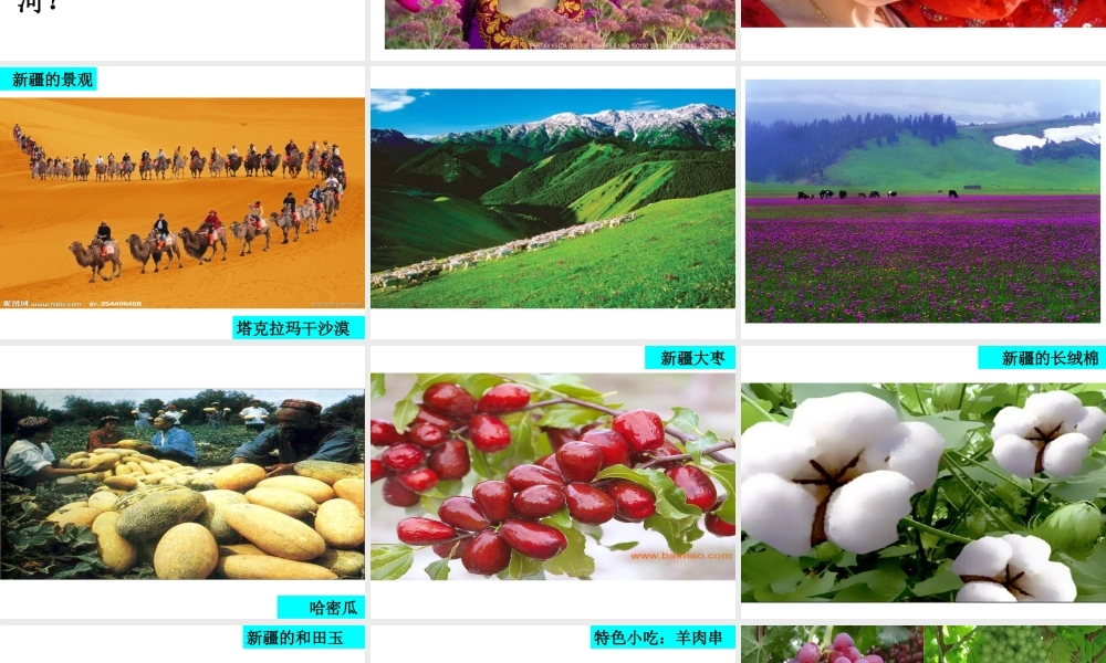 八年级地理下册 第8章 第3节 新疆维吾尔自治区的地理概况与区域开发课件 （新版）湘教版-（新版）湘教版初中八年级下册地理课件