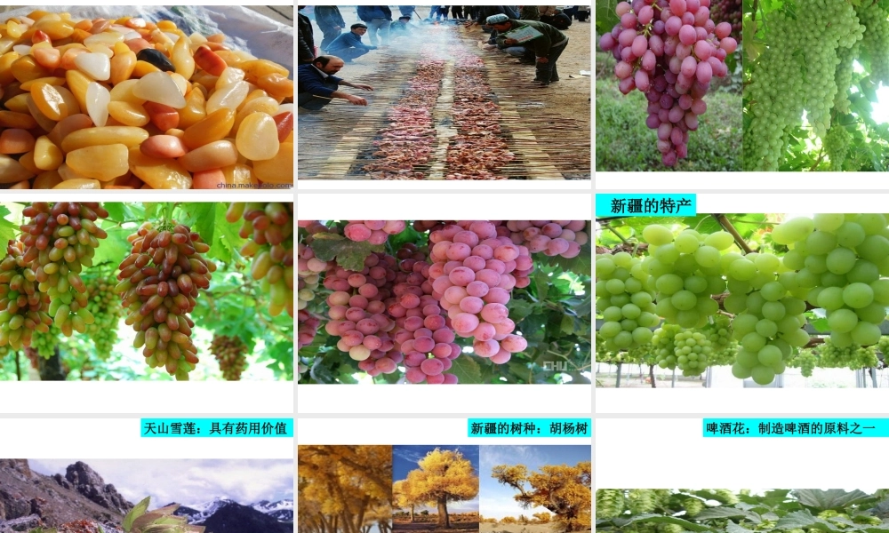 八年级地理下册 第8章 第3节 新疆维吾尔自治区的地理概况与区域开发课件 （新版）湘教版-（新版）湘教版初中八年级下册地理课件