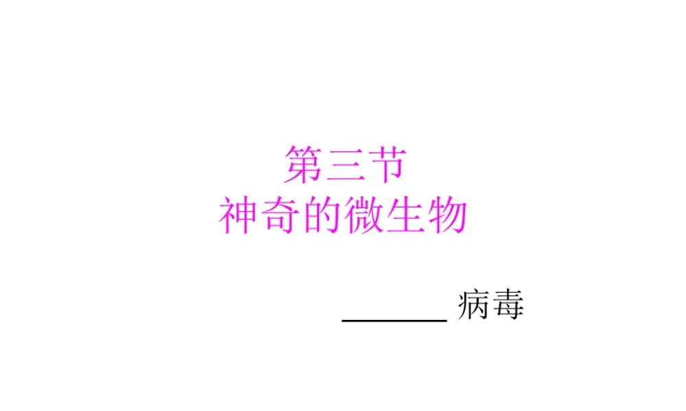 八年级生物上册 14.3 神奇的微生物课件（2）（新版）苏教版-（新版）苏教版初中八年级上册生物课件