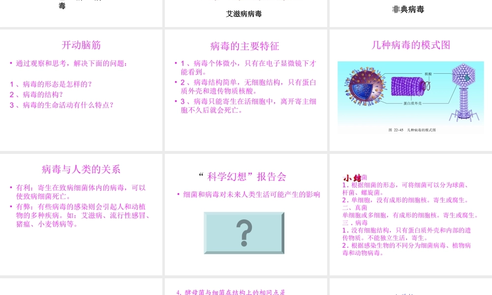 八年级生物上册 14.3 神奇的微生物课件（2）（新版）苏教版-（新版）苏教版初中八年级上册生物课件