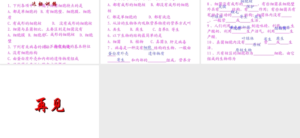 八年级生物上册 14.3 神奇的微生物课件（2）（新版）苏教版-（新版）苏教版初中八年级上册生物课件