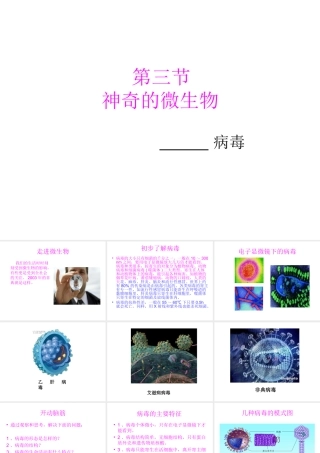 八年级生物上册 14.3 神奇的微生物课件（2）（新版）苏教版-（新版）苏教版初中八年级上册生物课件