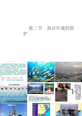 八年级地理下册 第十章 第二节 海洋的利用与保护课件 （新版）商务星球版