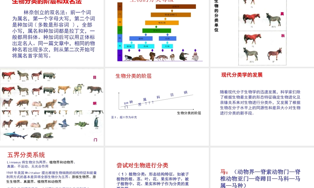 八年级生物上册 14.4 生物的分类课件 （新版）苏教版-（新版）苏教版初中八年级上册生物课件