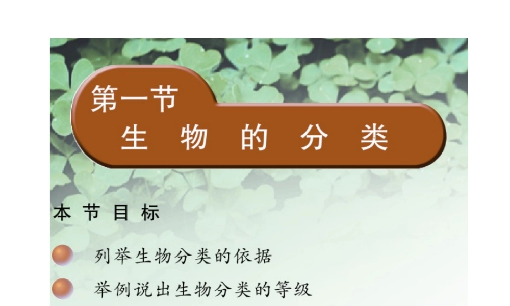 八年级生物上册 14.4 生物的分类课件 （新版）苏教版-（新版）苏教级上册生物课件