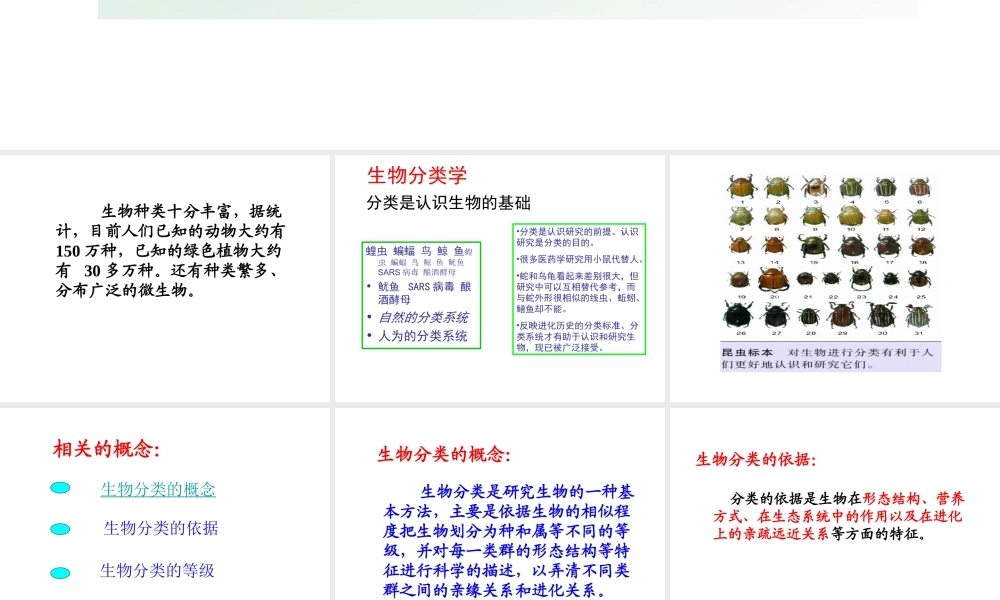 八年级生物上册 14.4 生物的分类课件 （新版）苏教版-（新版）苏教级上册生物课件