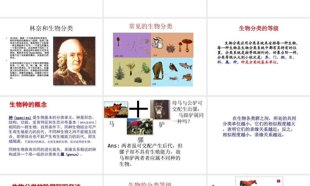 八年级生物上册 14.4 生物的分类课件 （新版）苏教版-（新版）苏教级上册生物课件