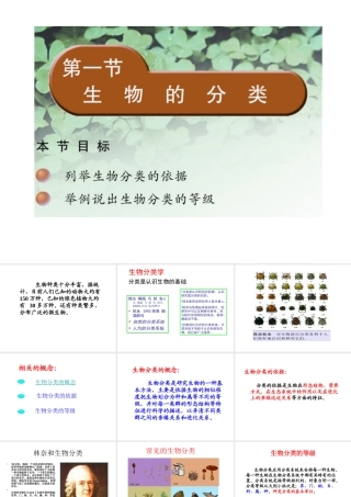 八年级生物上册 14.4 生物的分类课件 （新版）苏教版-（新版）苏教级上册生物课件