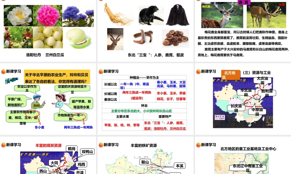 八年级地理下册 第五章 第二节 北方地区和南方地区（第1课时）课件 （新版）湘教版