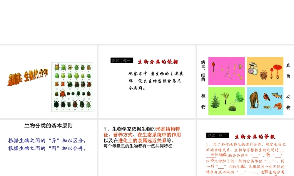 八年级生物上册 14.4 生物的分类课件 （新版）苏教版