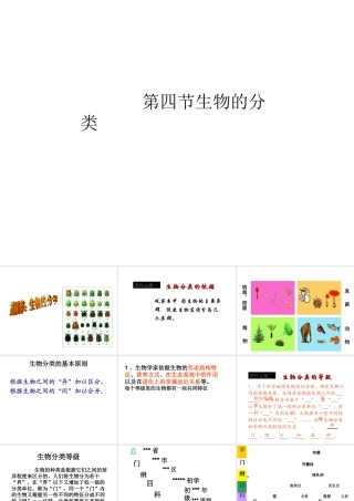 八年级生物上册 14.4 生物的分类课件 （新版）苏教版