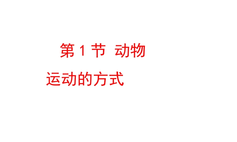 八年级生物上册 15.1 动物运动的方式课件 （新版）北师大版-（新版）北师大版初中八年级上册生物课件