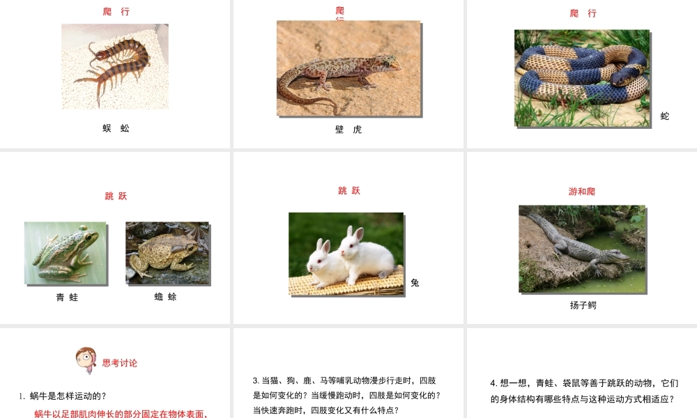 八年级生物上册 15.1 动物运动的方式课件 （新版）北师大版-（新版）北师大级上册生物课件