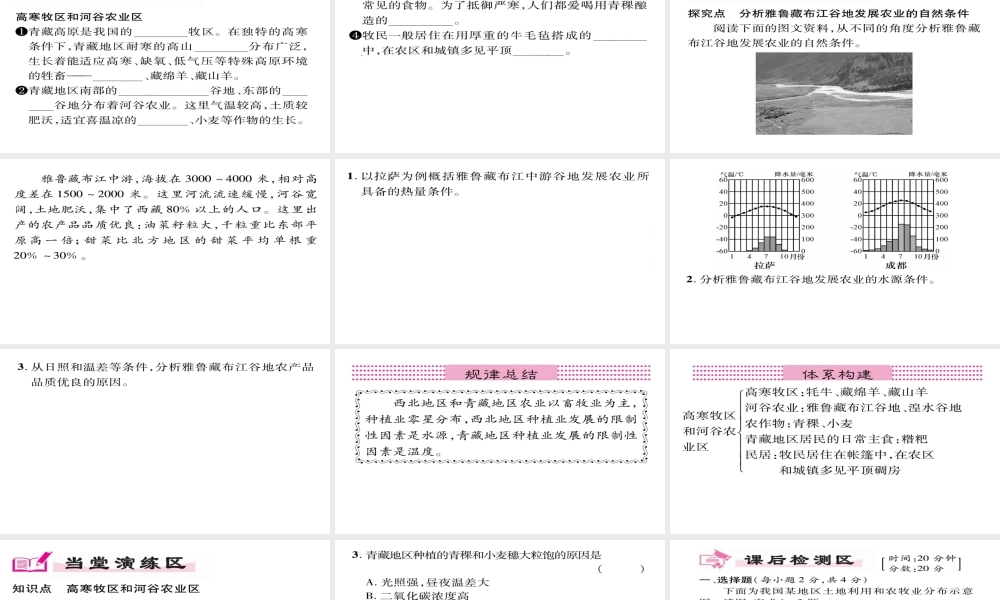 八年级地理下册 第9章 第1节 自然特征与农业（第二课时）习题课件 （新版）新人教版-（新版）新人教版初中八年级下册地理课件
