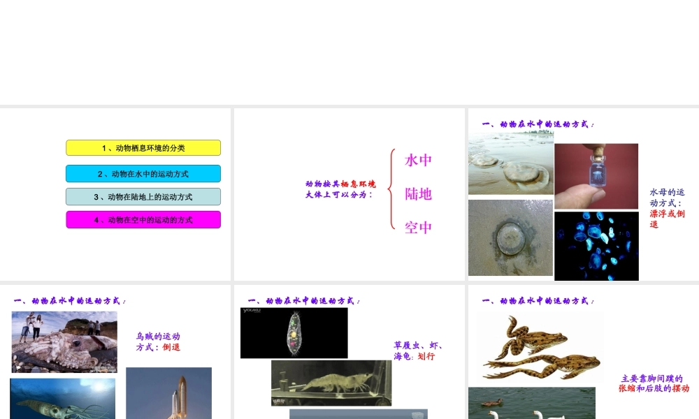八年级生物上册 15.1 动物运动的方式课件 北师大版-北师大版初中八年级上册生物课件