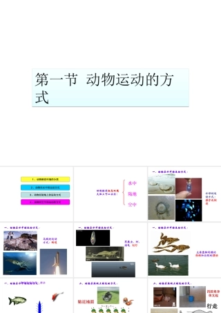 八年级生物上册 15.1 动物运动的方式课件 北师大版-北师大版初中八年级上册生物课件