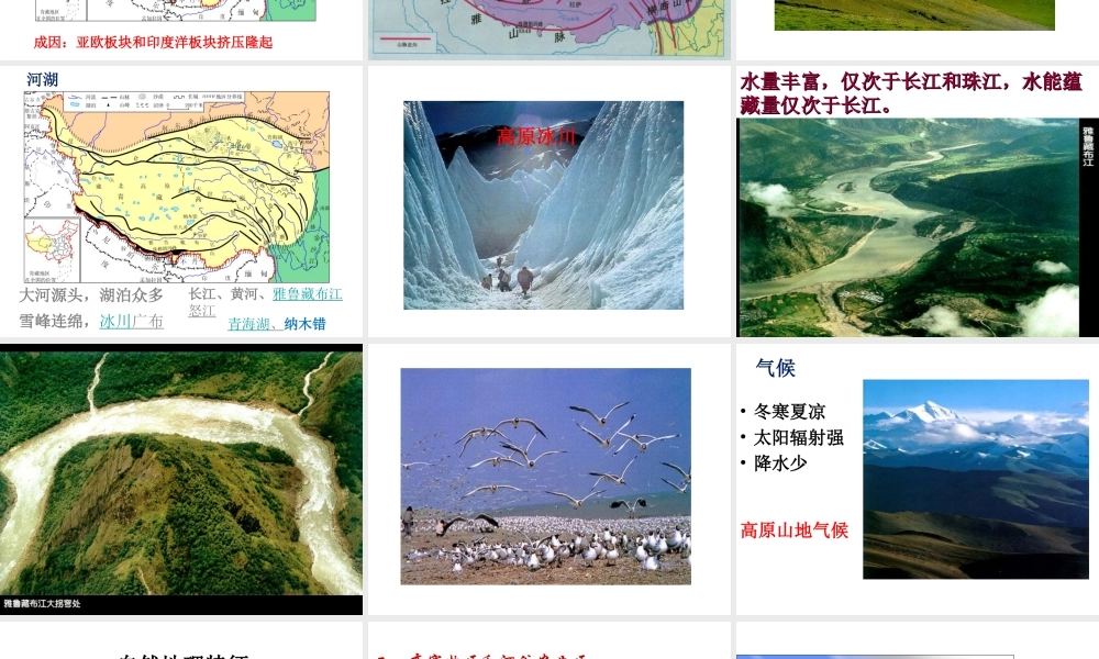 八年级地理下册 第9章 第1节《自然特征与农业》课件 （新版）新人教版