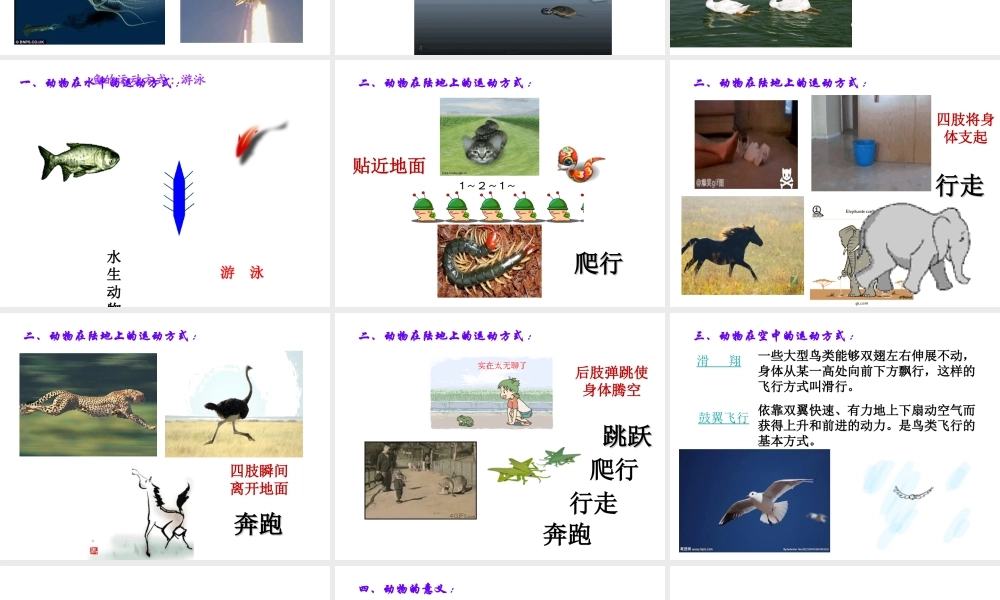 八年级生物上册 15.1 动物运动的方式课件 北师大版-北师大级上册生物课件