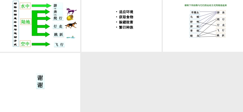 八年级生物上册 15.1 动物运动的方式课件 北师大版-北师大级上册生物课件