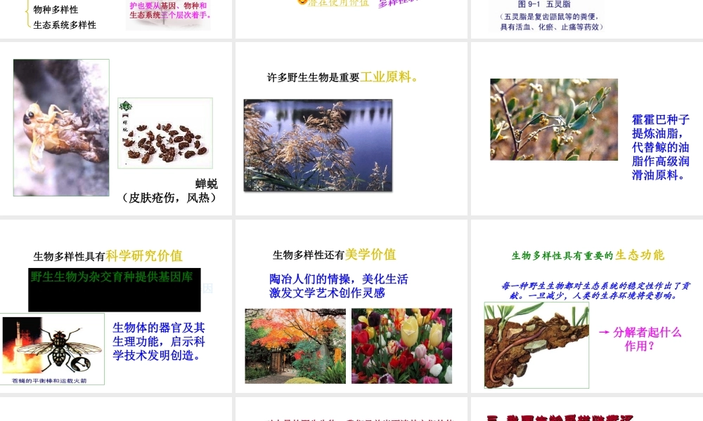 八年级生物上册 15.1 生物的多样性课件（1）（新版）苏教版-（新版）苏教版初中八年级上册生物课件