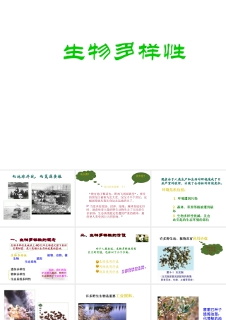 八年级生物上册 15.1 生物的多样性课件（1）（新版）苏教版-（新版）苏教版初中八年级上册生物课件