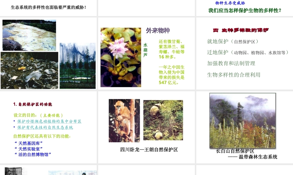 八年级生物上册 15.1 生物的多样性课件（2）（新版）苏教版-（新版）苏教版初中八年级上册生物课件